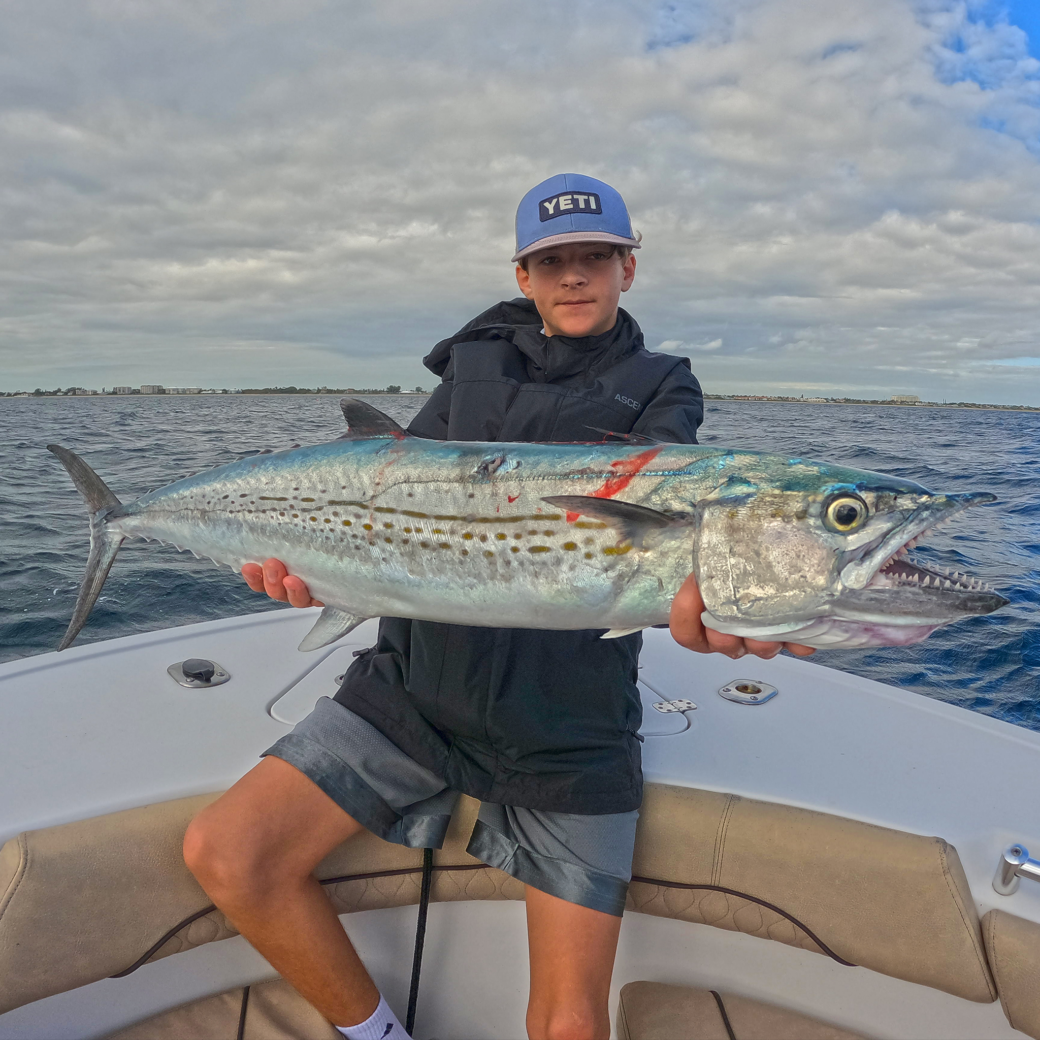 Cero mackerel caught while fishing in Florida