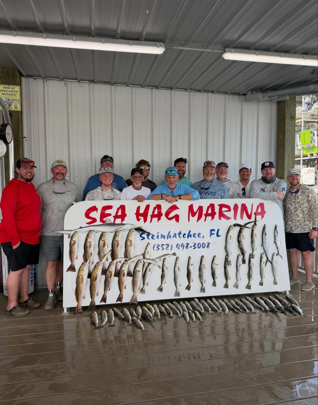 Successful redfish fishing trip display at Sea Hag Marina in Steinhatchee Florida with large catch of red drum