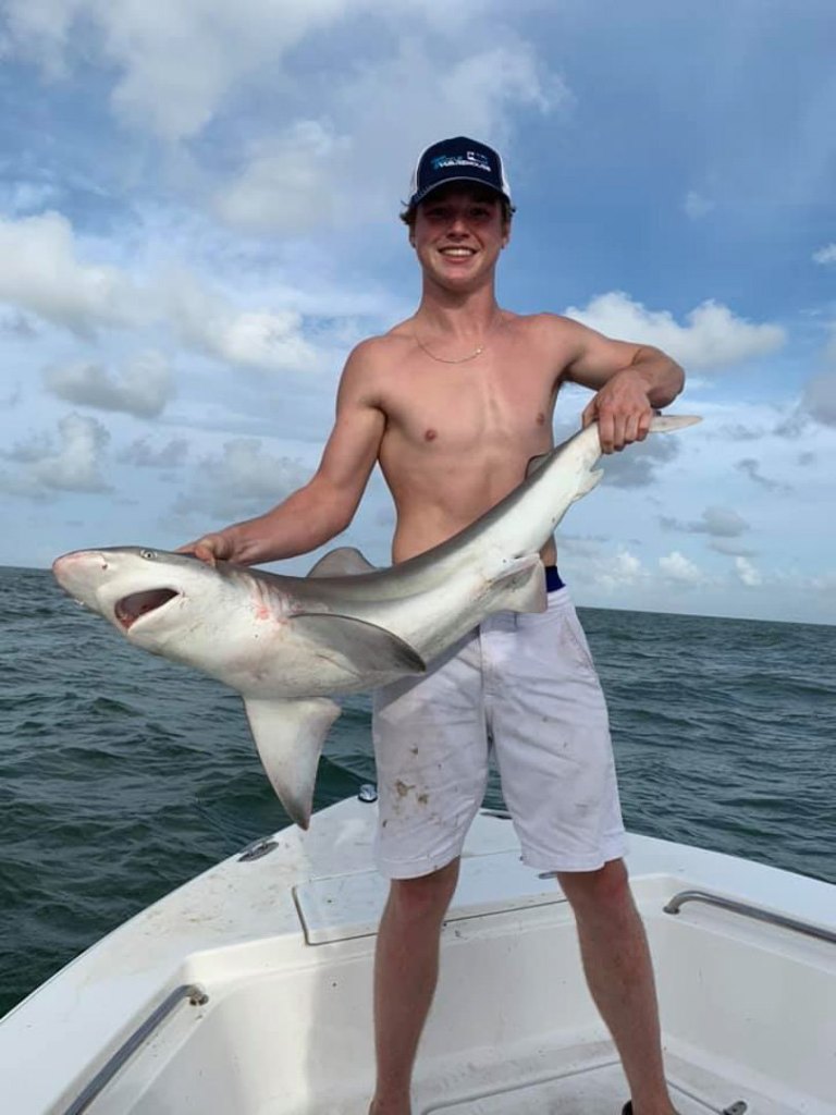 Majestic bull shark caught in TX