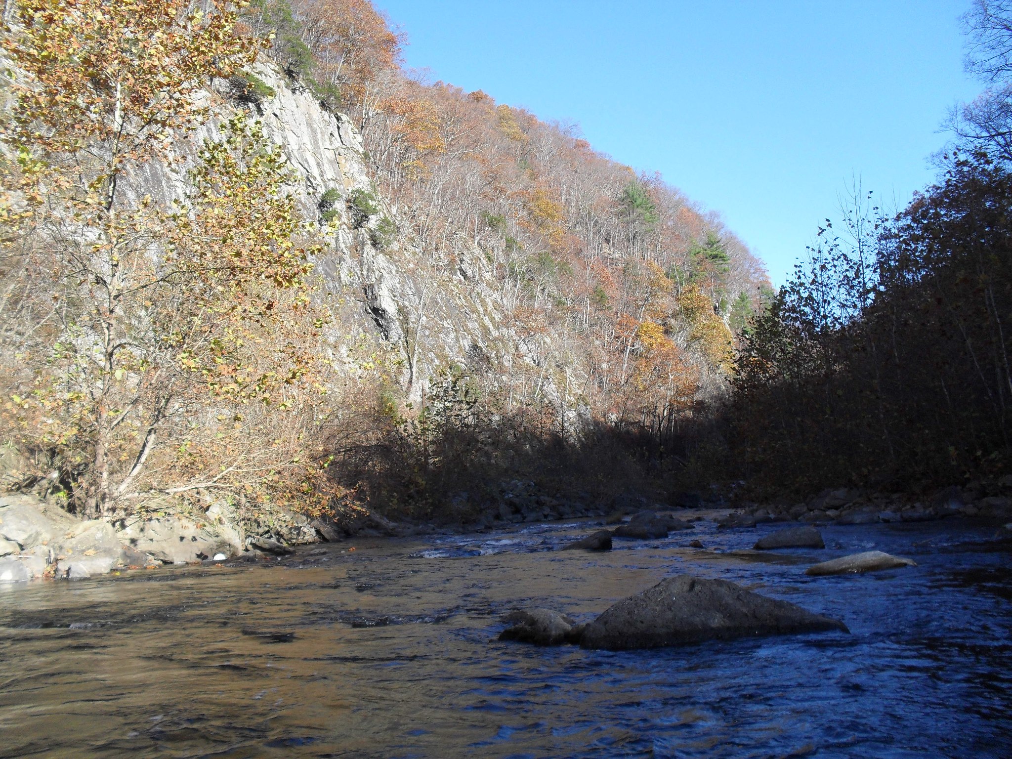 Fishing in VA