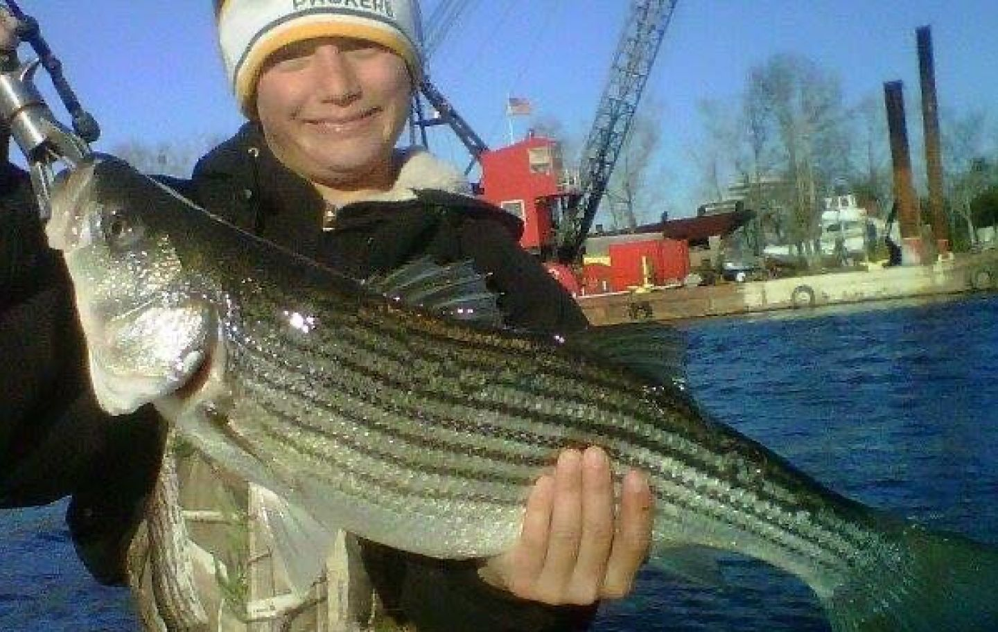 Striped bass caught in Wilmington
