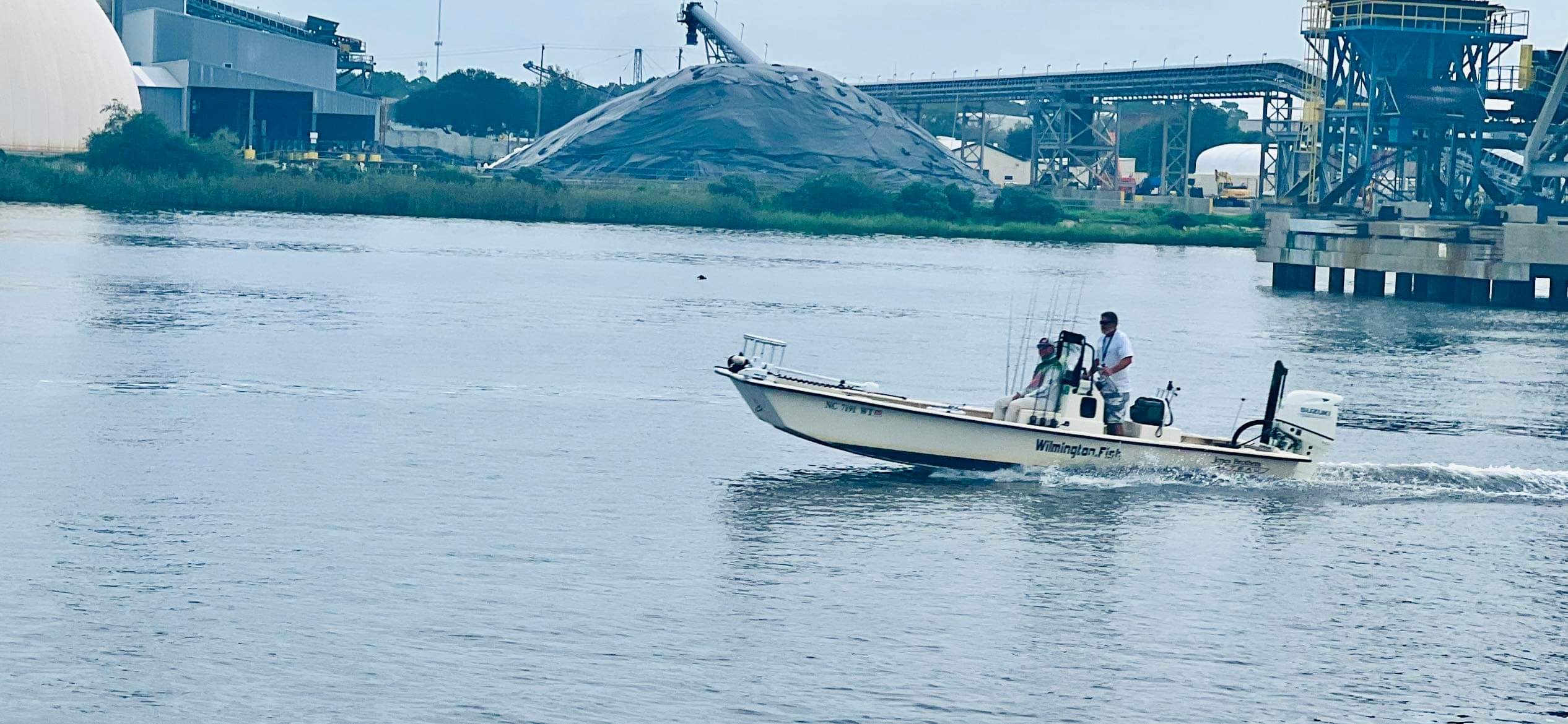Wilmington fish