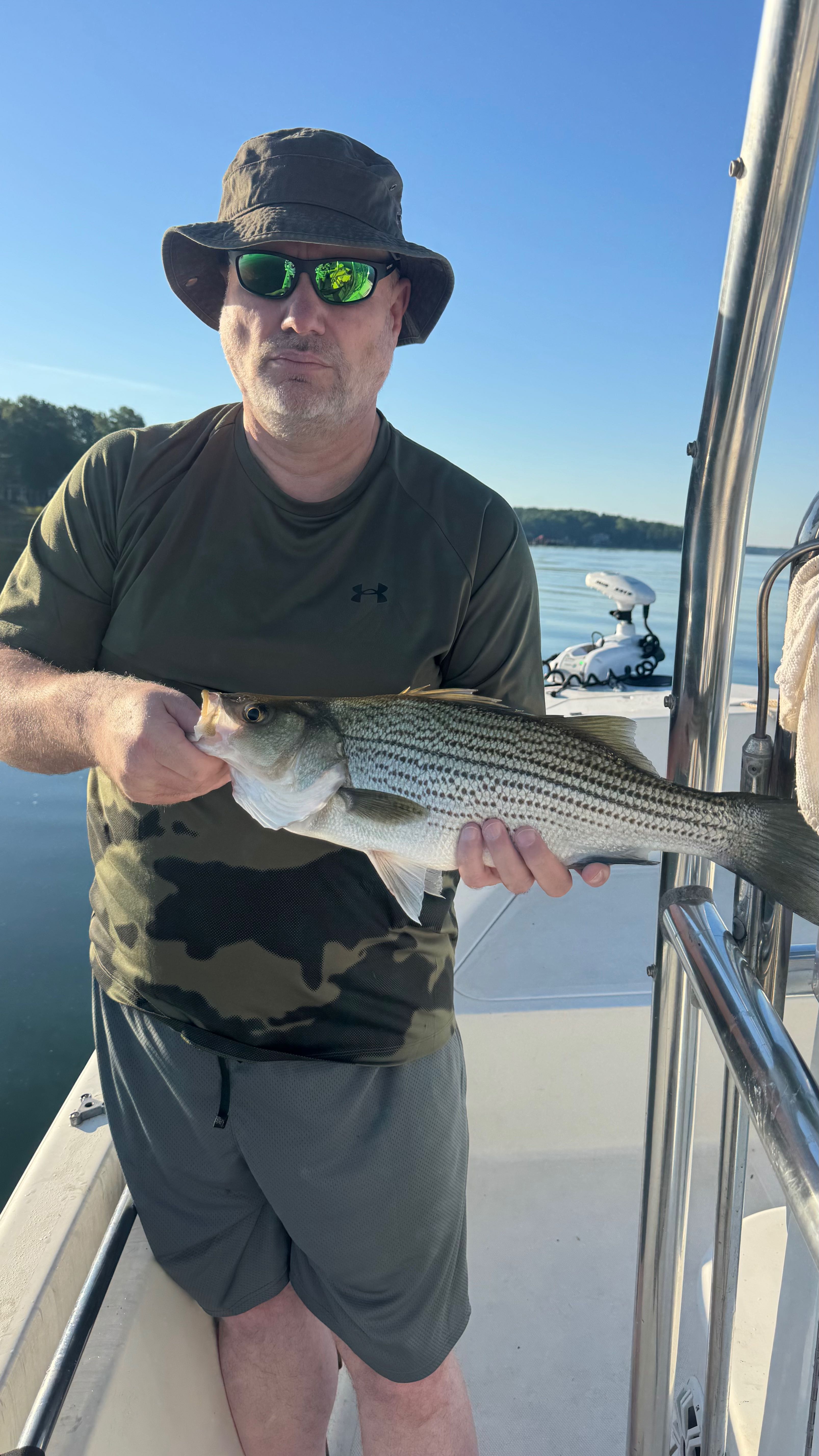 Freshly caught striped bass held on fishing boat in Denver NC waters