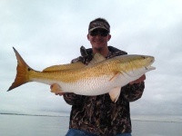 One person fishing in Galveston