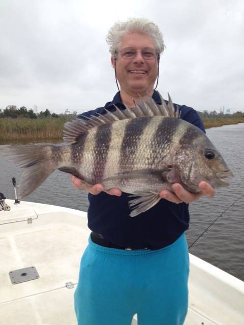 Sheepshead fish caught on fishing trip in TX