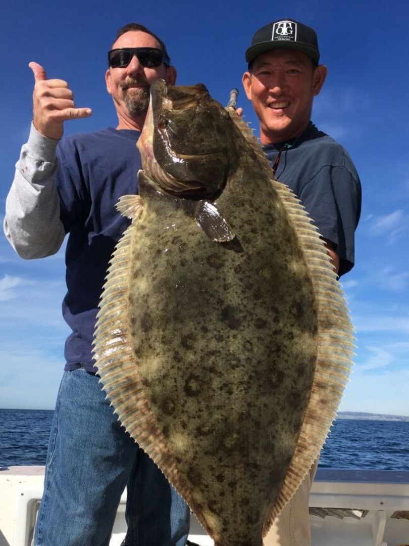 Photograph of a California Flounder fish caught during a fishing trip in Dana Point