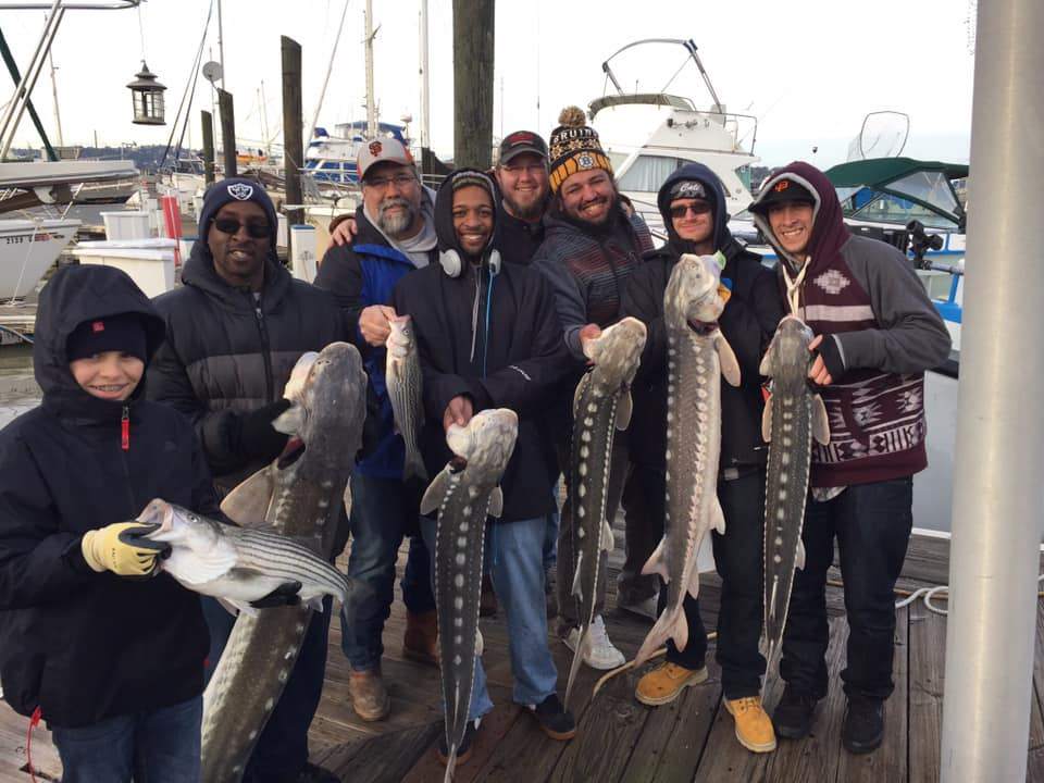 Five white sturgeon and striped bass in Richmond, Virginia