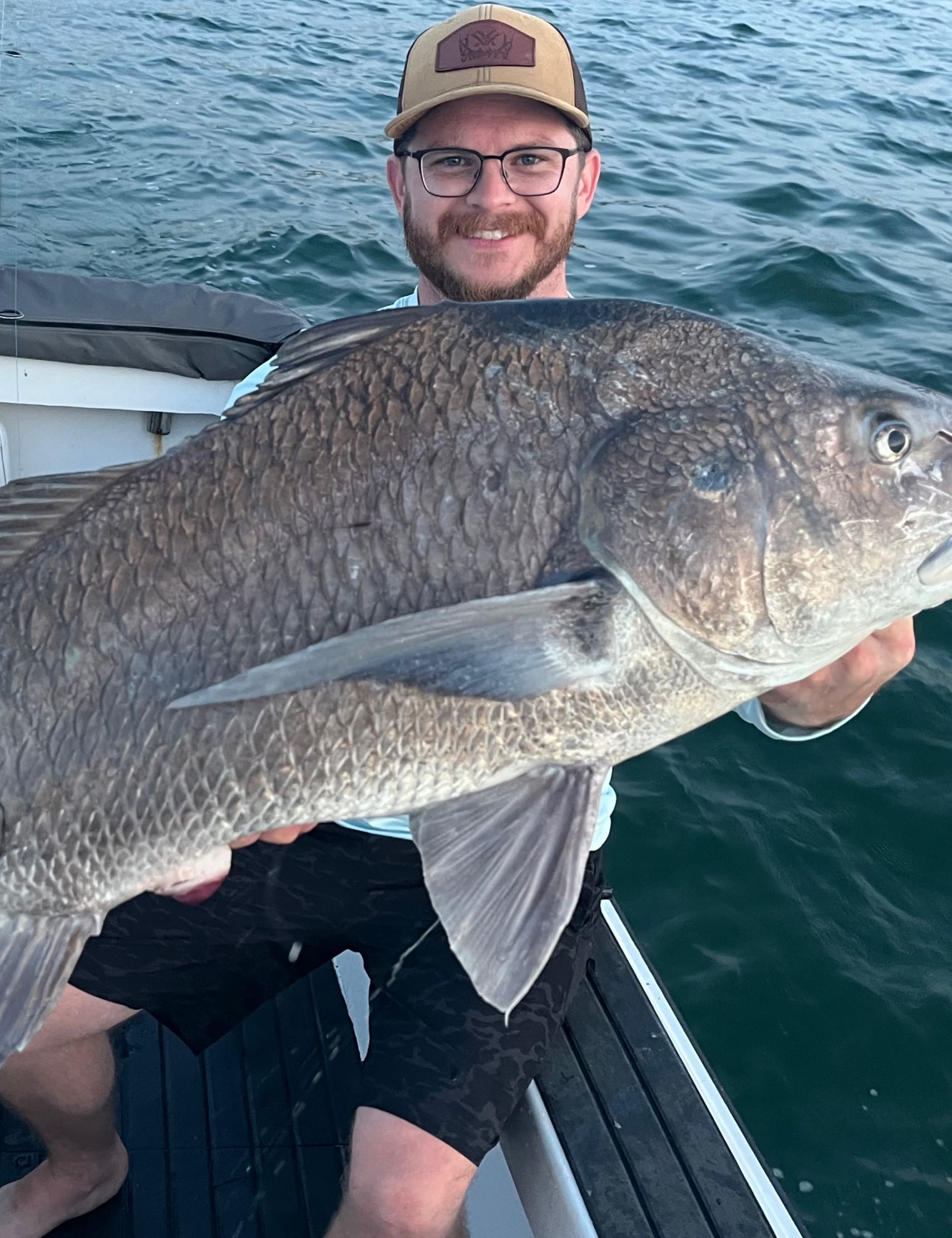 A fisherman catches a large black drum fish in Gulfport