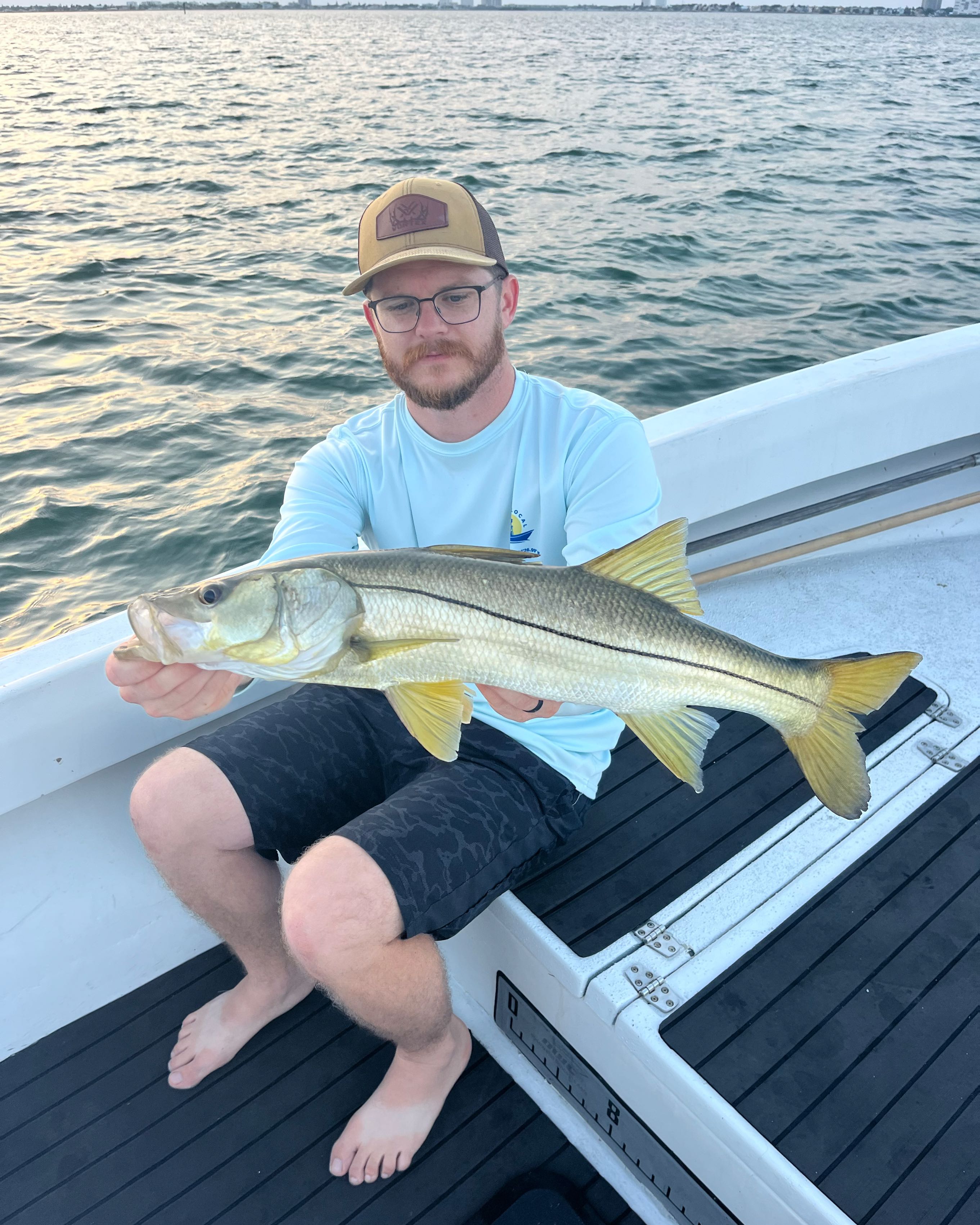 Snook fish caught in Gulfport during fishing
