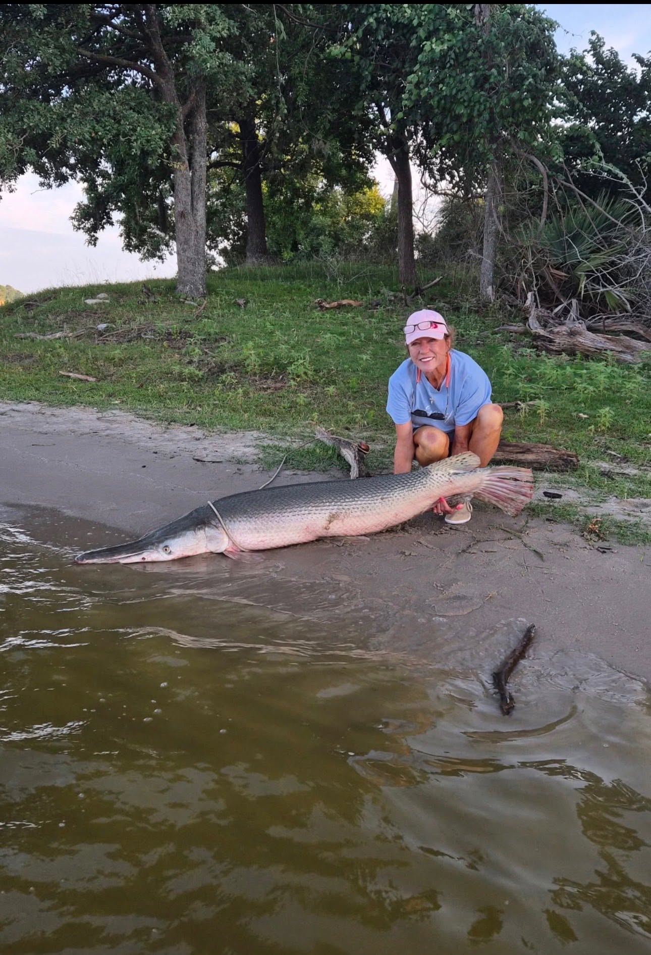 Large alligator gar catch displayed on shoreline in Palestine Texas