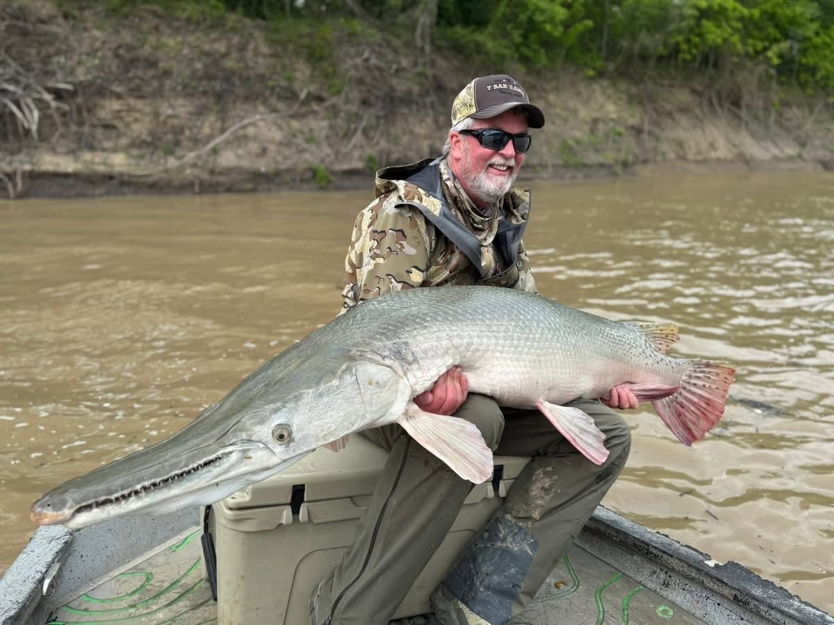 Large alligator gar caught fishing in Palestine Texas