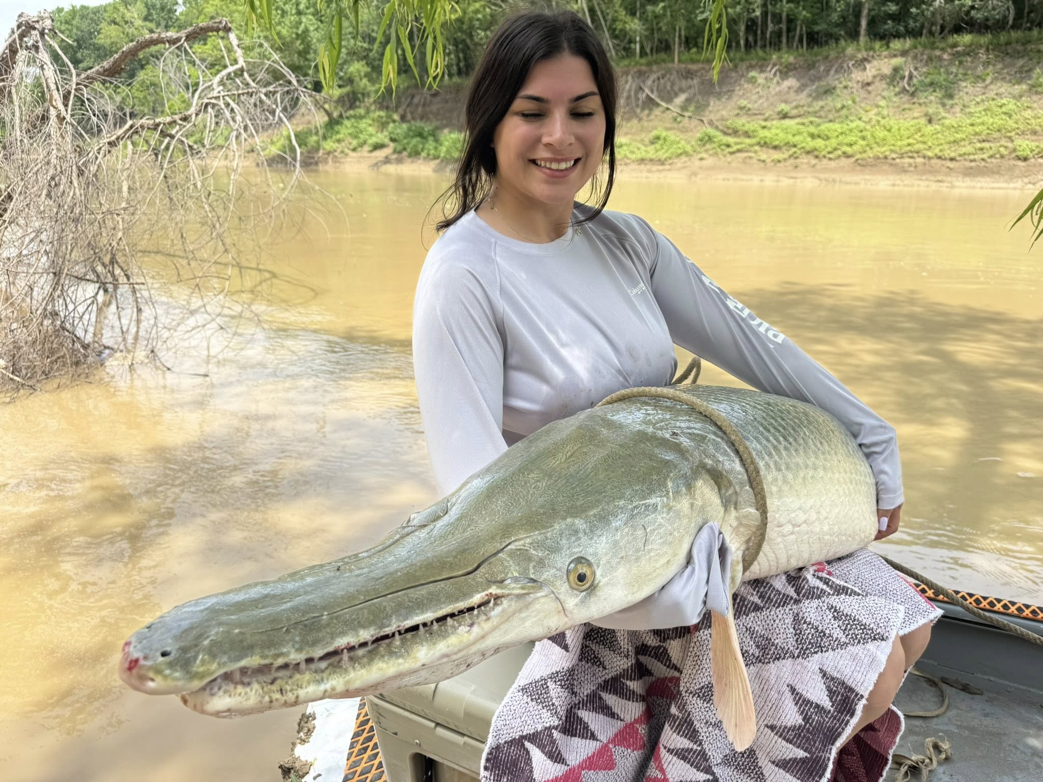 Large alligator gar caught fishing in Palestine Texas