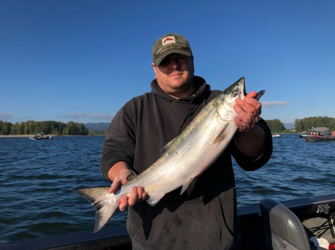 Chinook salmon catch displayed on fishing boat in Clackamas OR waters