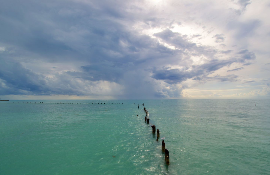 Scenic view of the water in FL