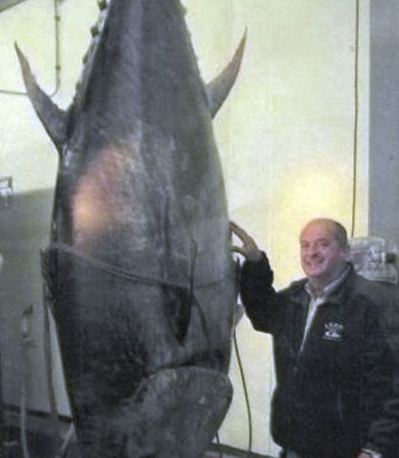 Catch of the day: a king mackerel fish in RI