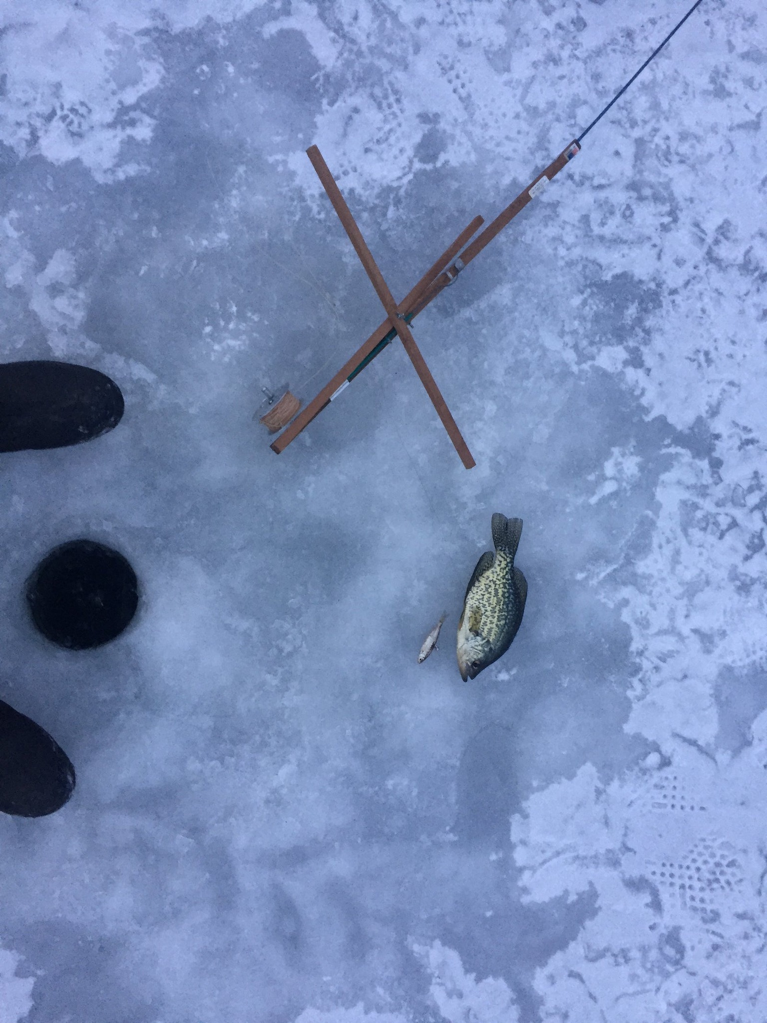 1 fishing trip in VT