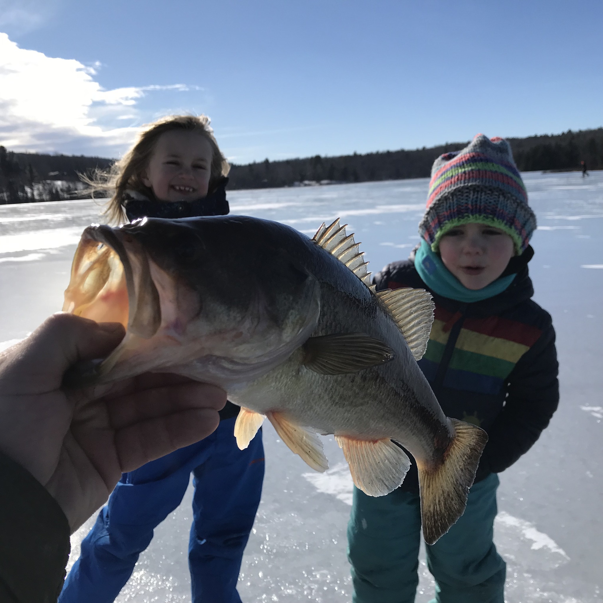 Largemouth bass caught in VT