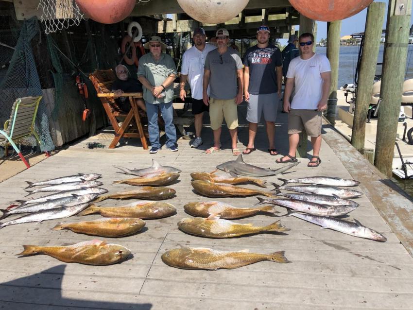 Four big fish caught by five people in Freeport