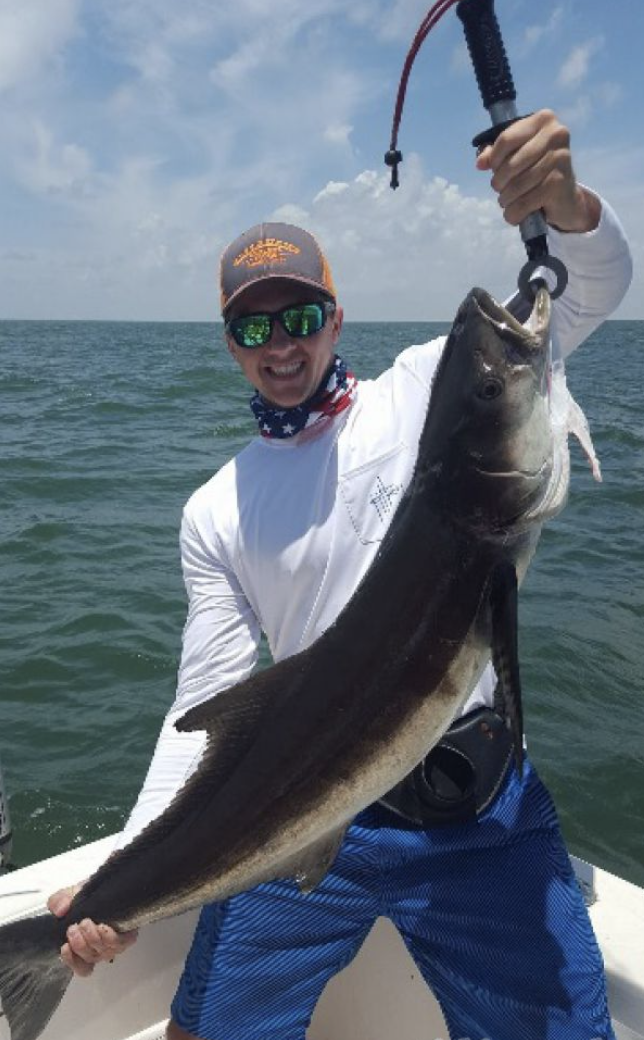 Cobia fish caught in Freeport, fishing