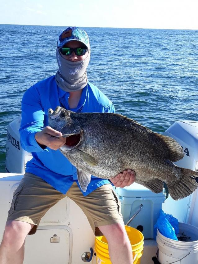 Tripletail fish caught by person in Freeport