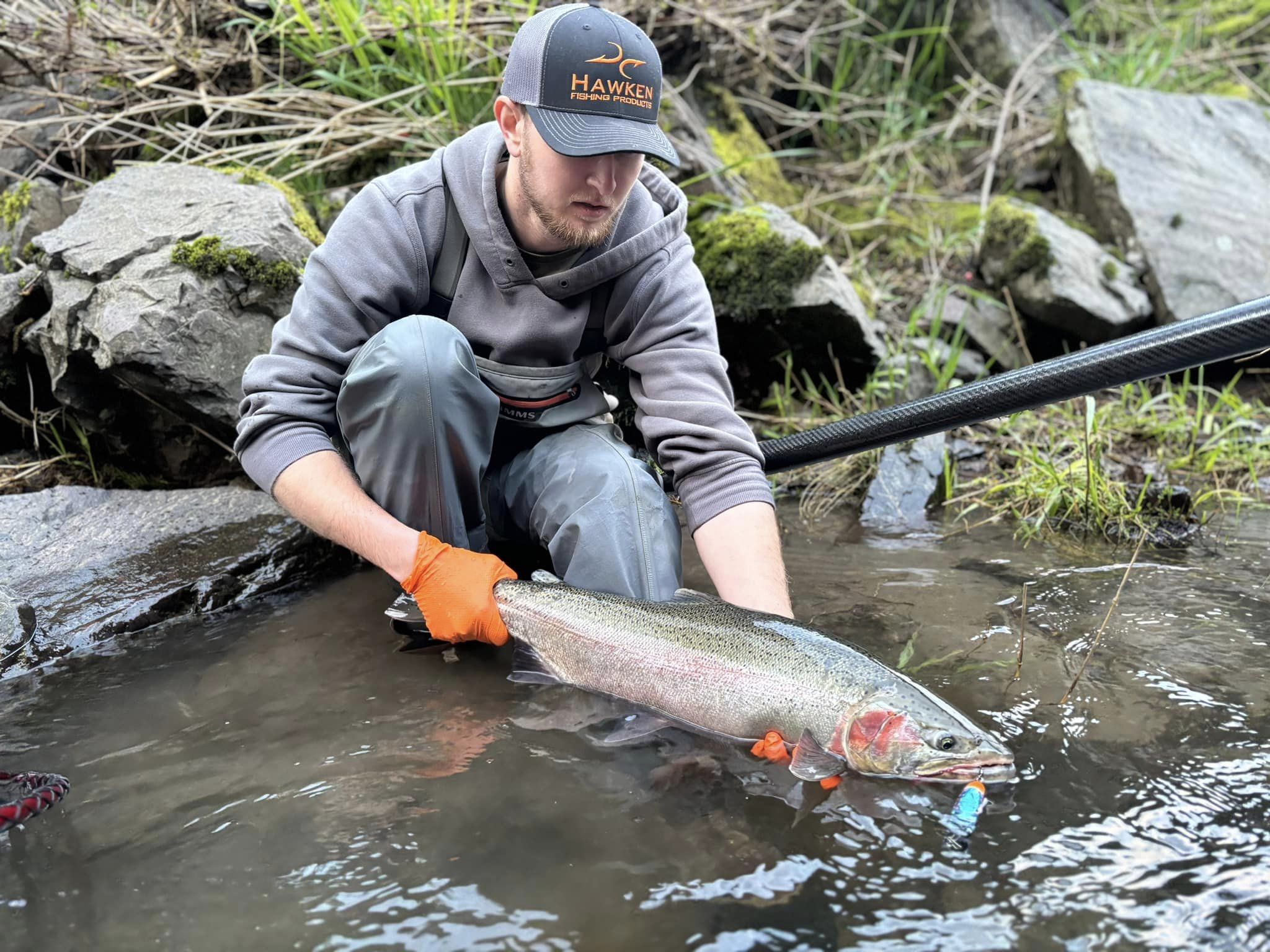 Caught a beautiful rainbow trout in Kalama while fishing