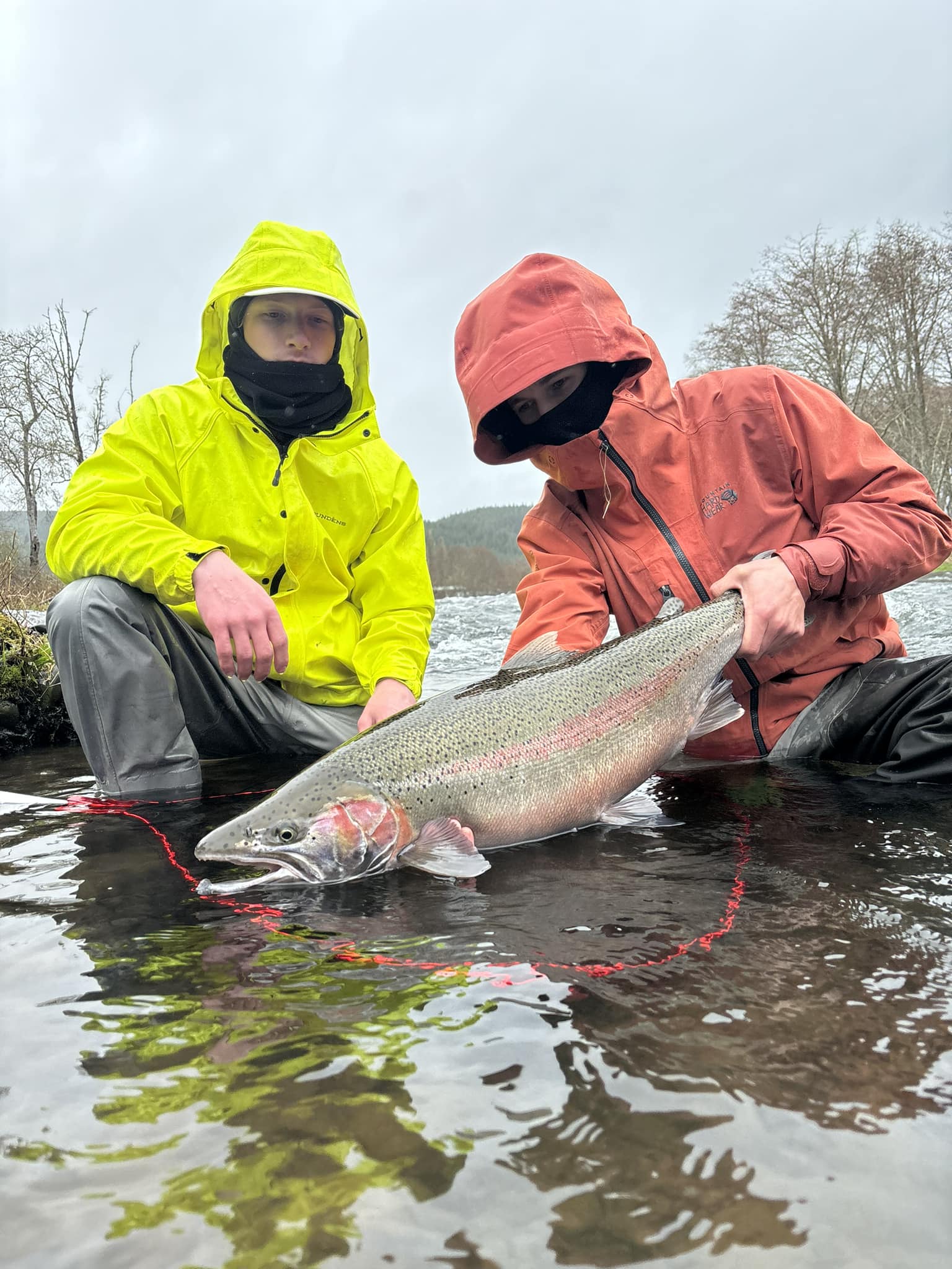Angler holding a large rainbow trout caught in Kalama