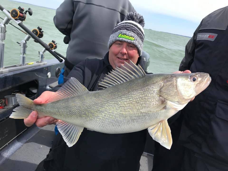 A 30-inch walleye caught while fishing in OH