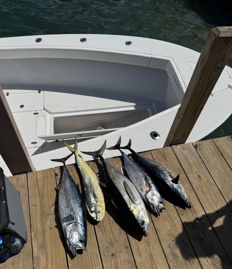 Two blackfin tuna caught while fishing in West Palm Beach