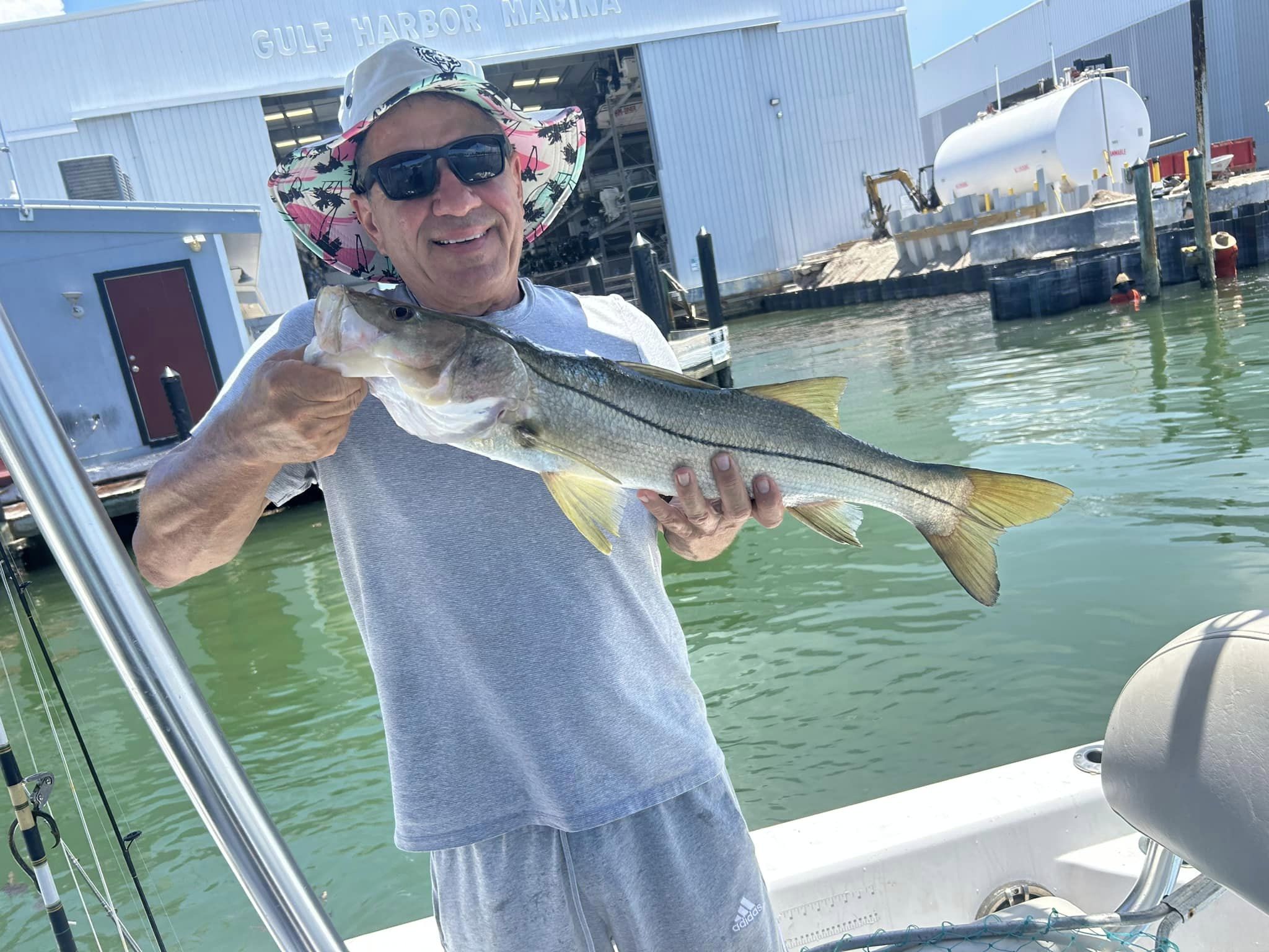 Snook fish caught at Nokomis Boat Ramp