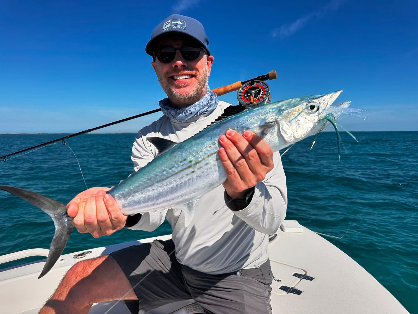 Cero mackerel caught while fishing in Islamorada FL