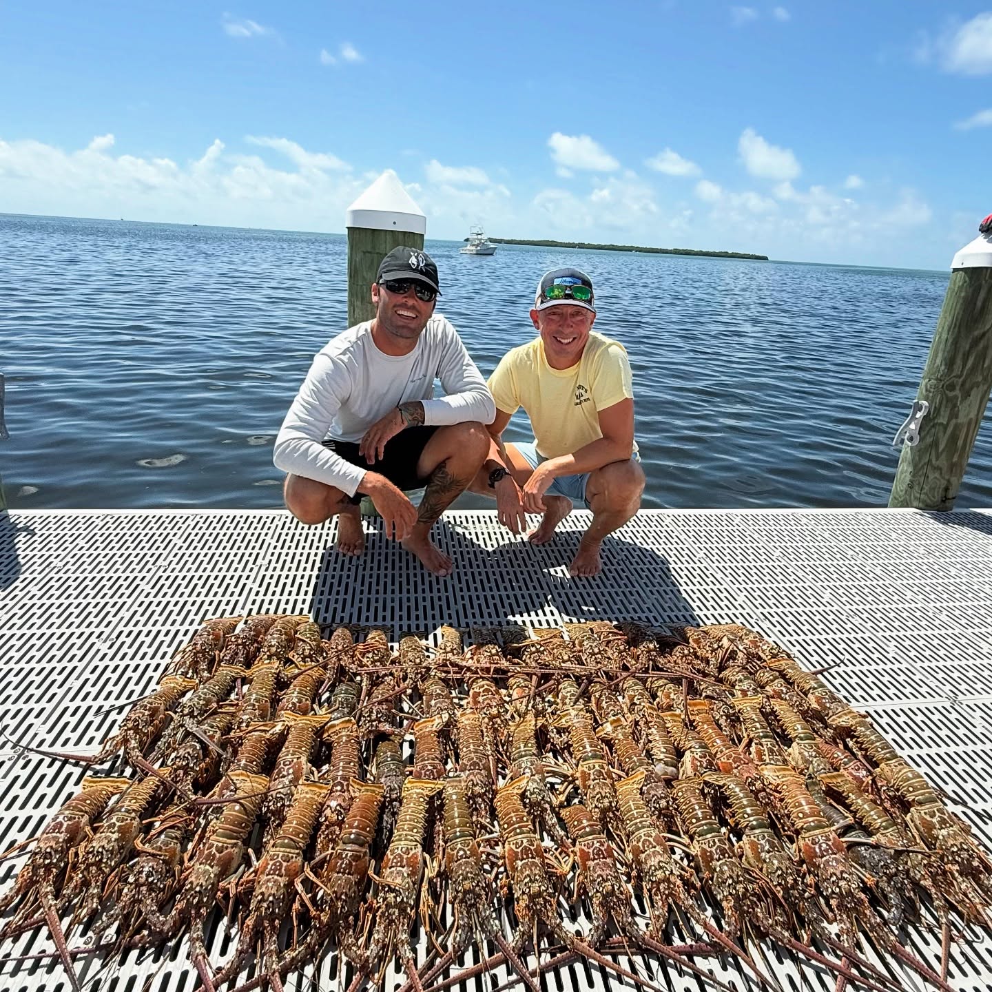 Large catch of lobsters displayed on dock in Islamorada FL
