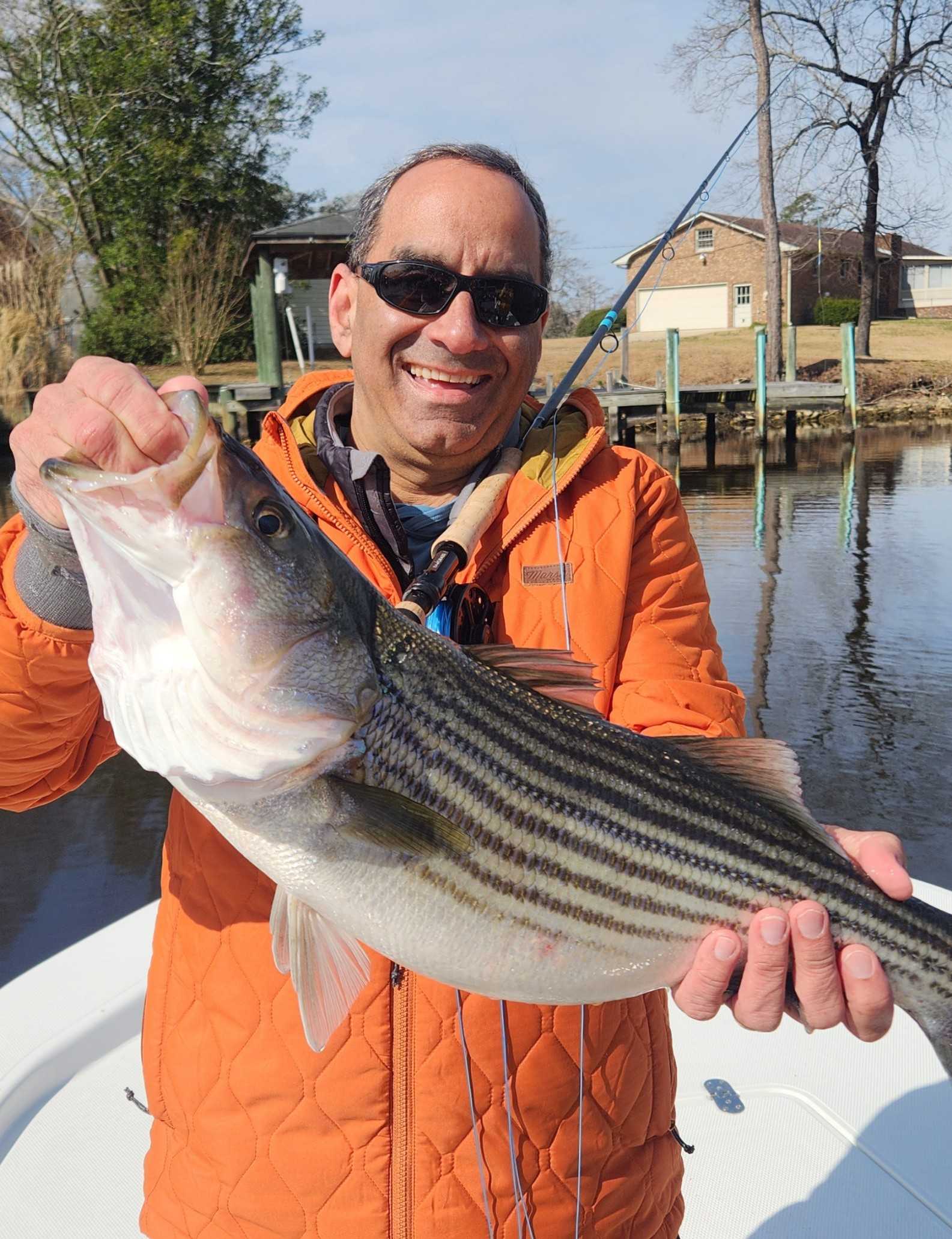 Striped bass caught fishing in NC