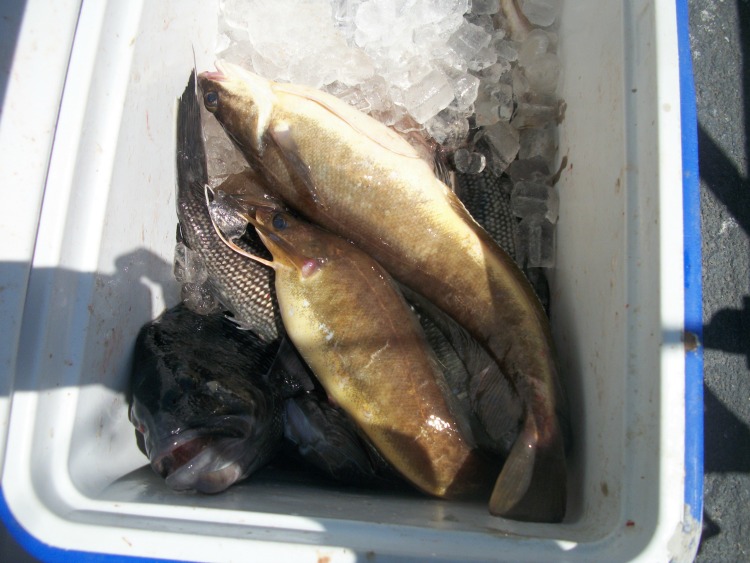 A fishing trip in NJ