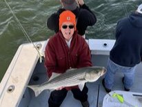 Bluefish caught while fishing in NJ
