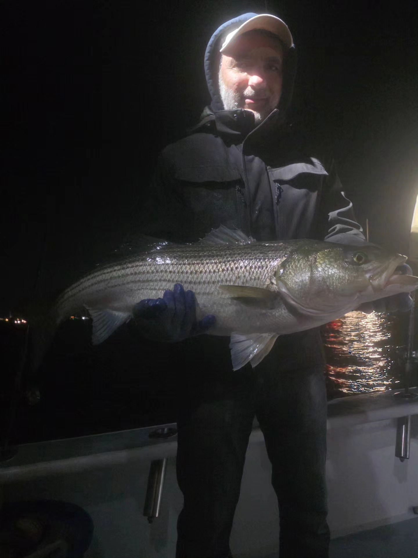 Striped bass caught during night fishing in New York City NY
