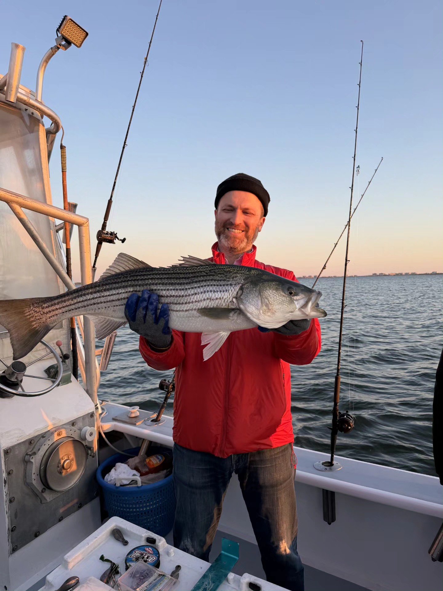 Striped bass catch held on fishing boat in New York City waters
