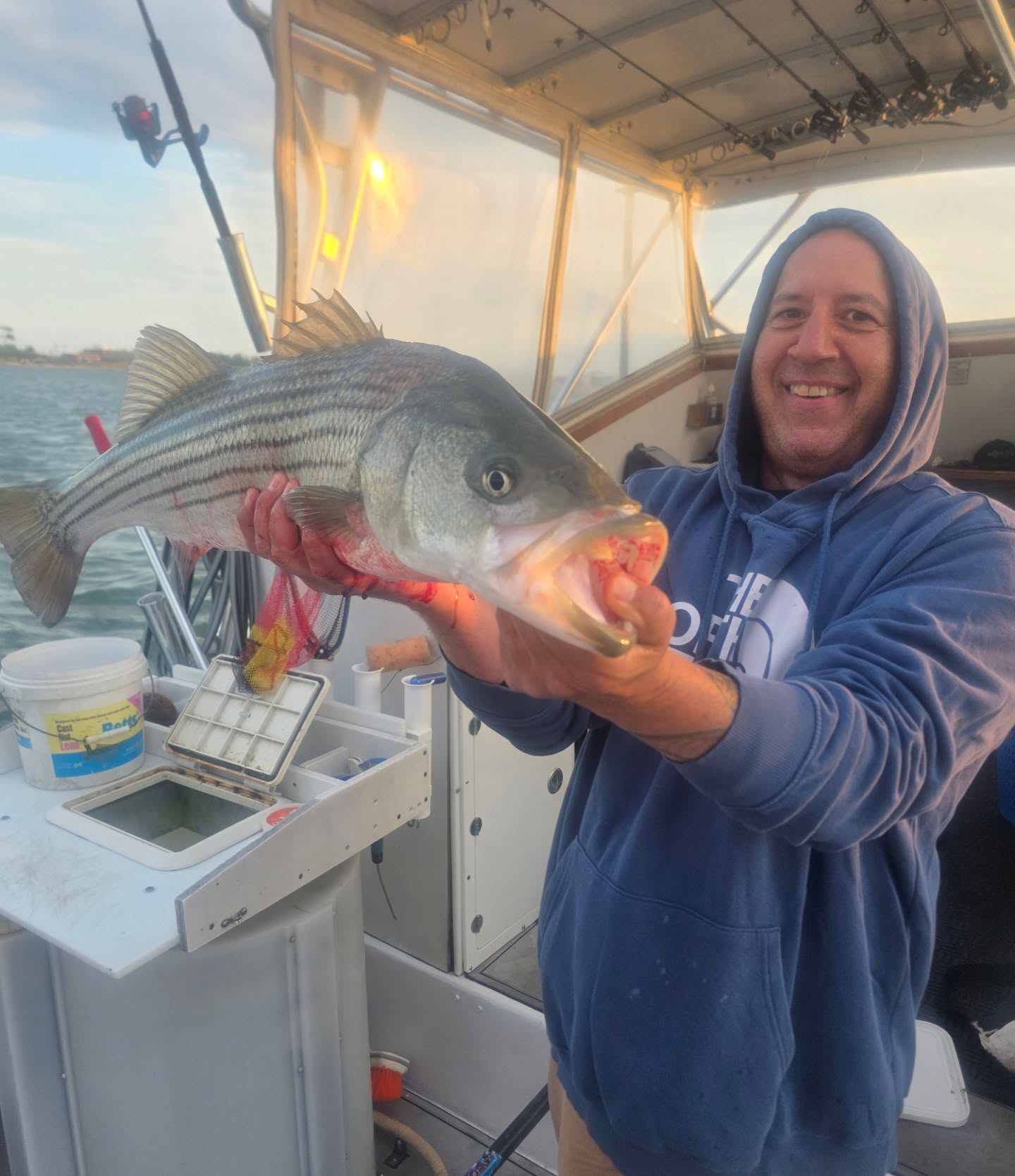 Striped bass catch displayed on fishing boat in New York City NY waters