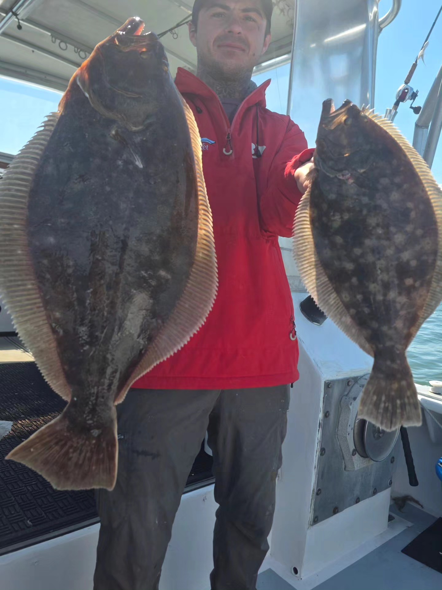 Two summer flounder caught fishing in New York City waters displayed on boat deck