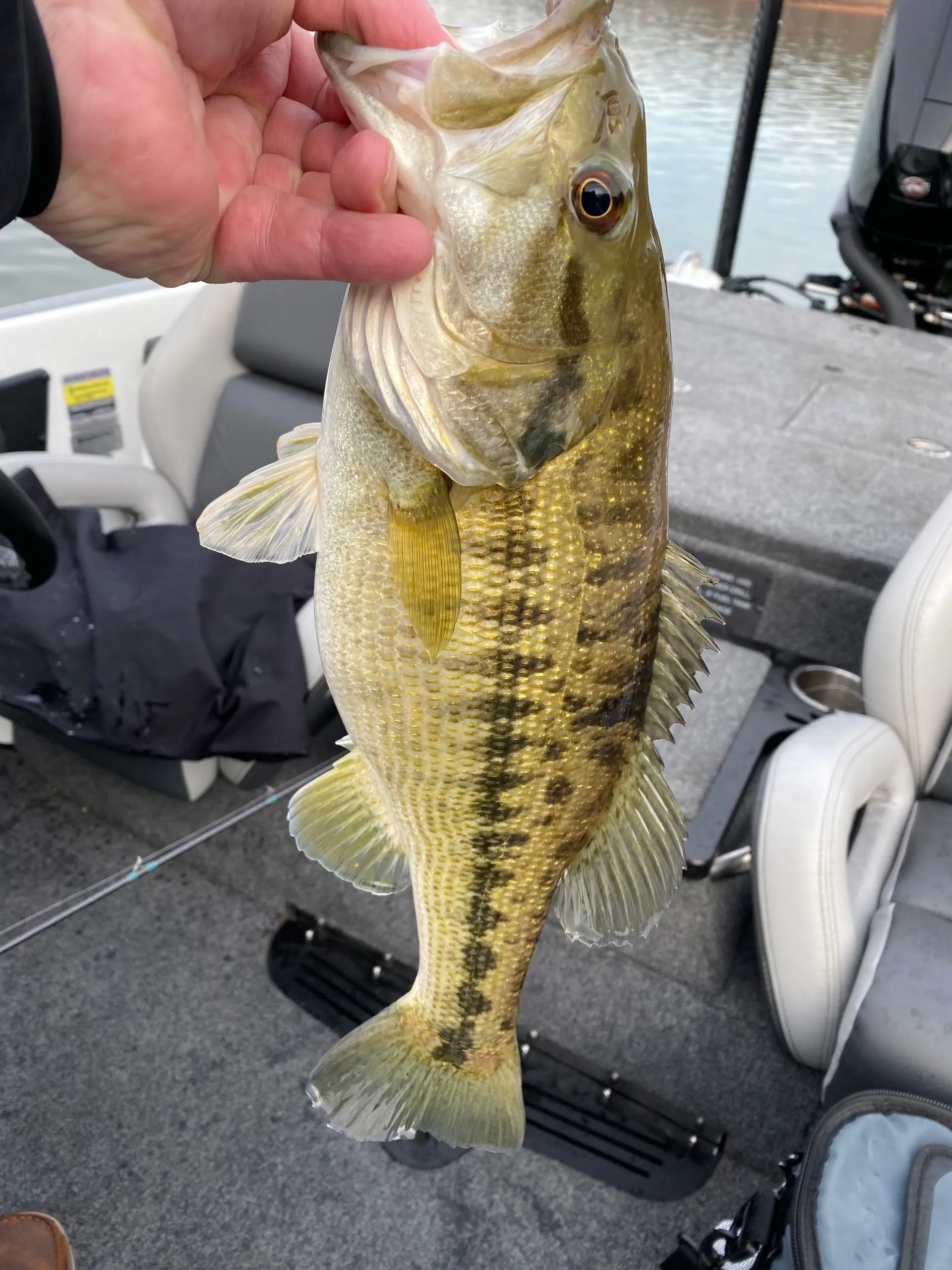 Fishing in Georgia