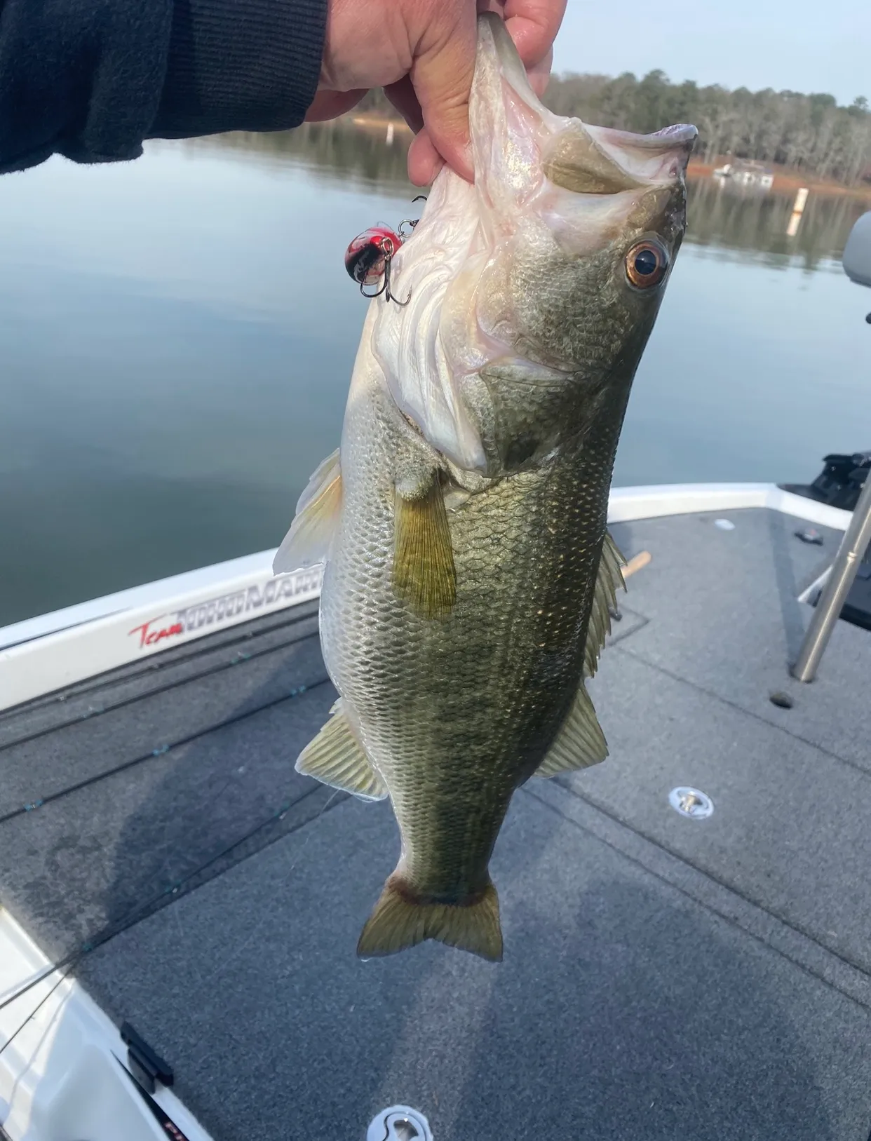Relaxing fishing trip at Hartwell