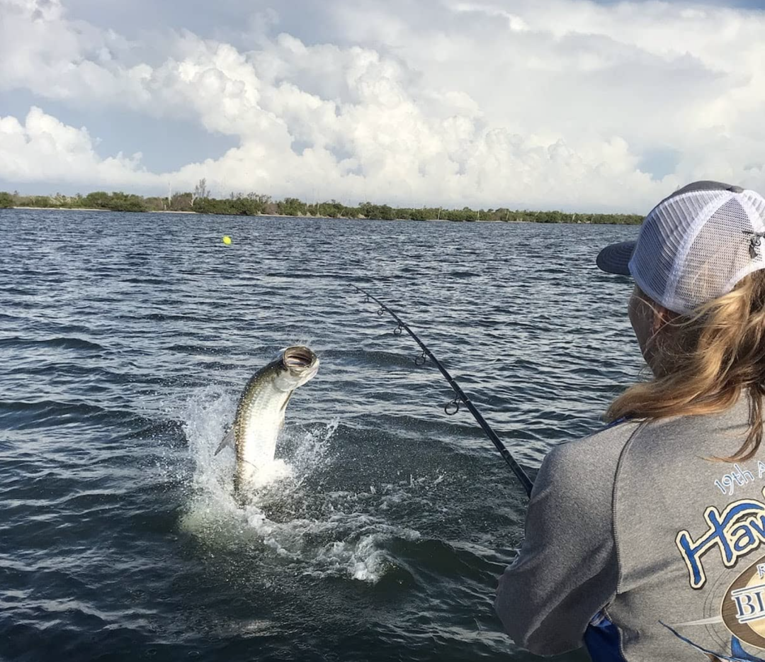 Bluefish caught while fishing in FL