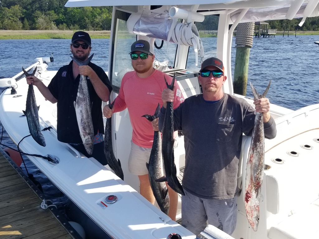 4 large fish caught while fishing in SC