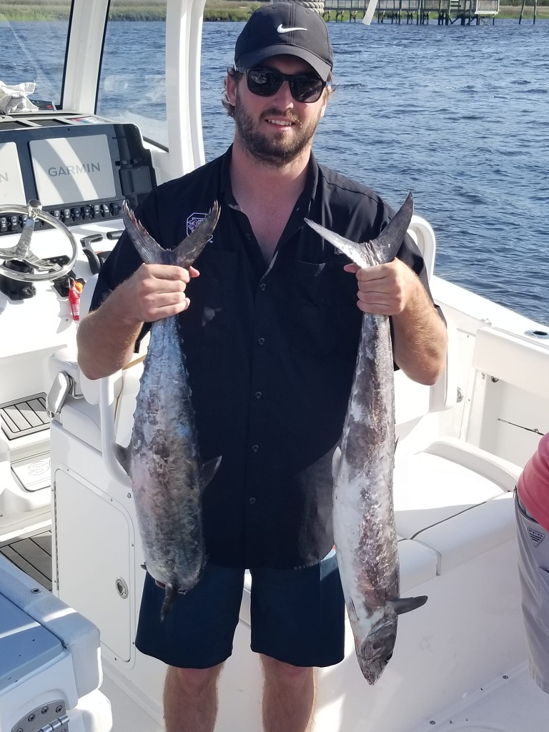 Two king mackerel, 18 inches long, caught while fishing in SC