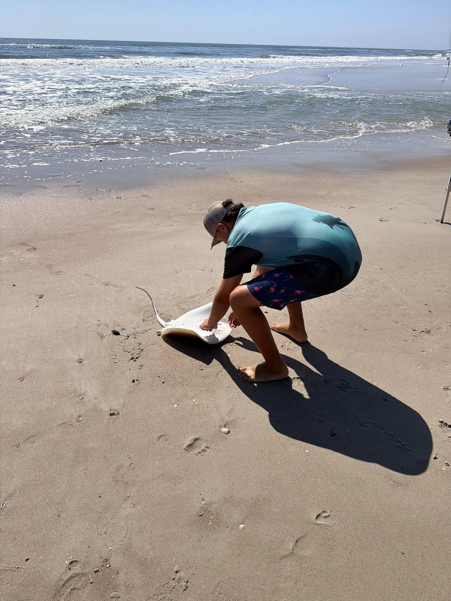 Fish being released back into ocean waves on sandy beach at Fernandina Beach FL