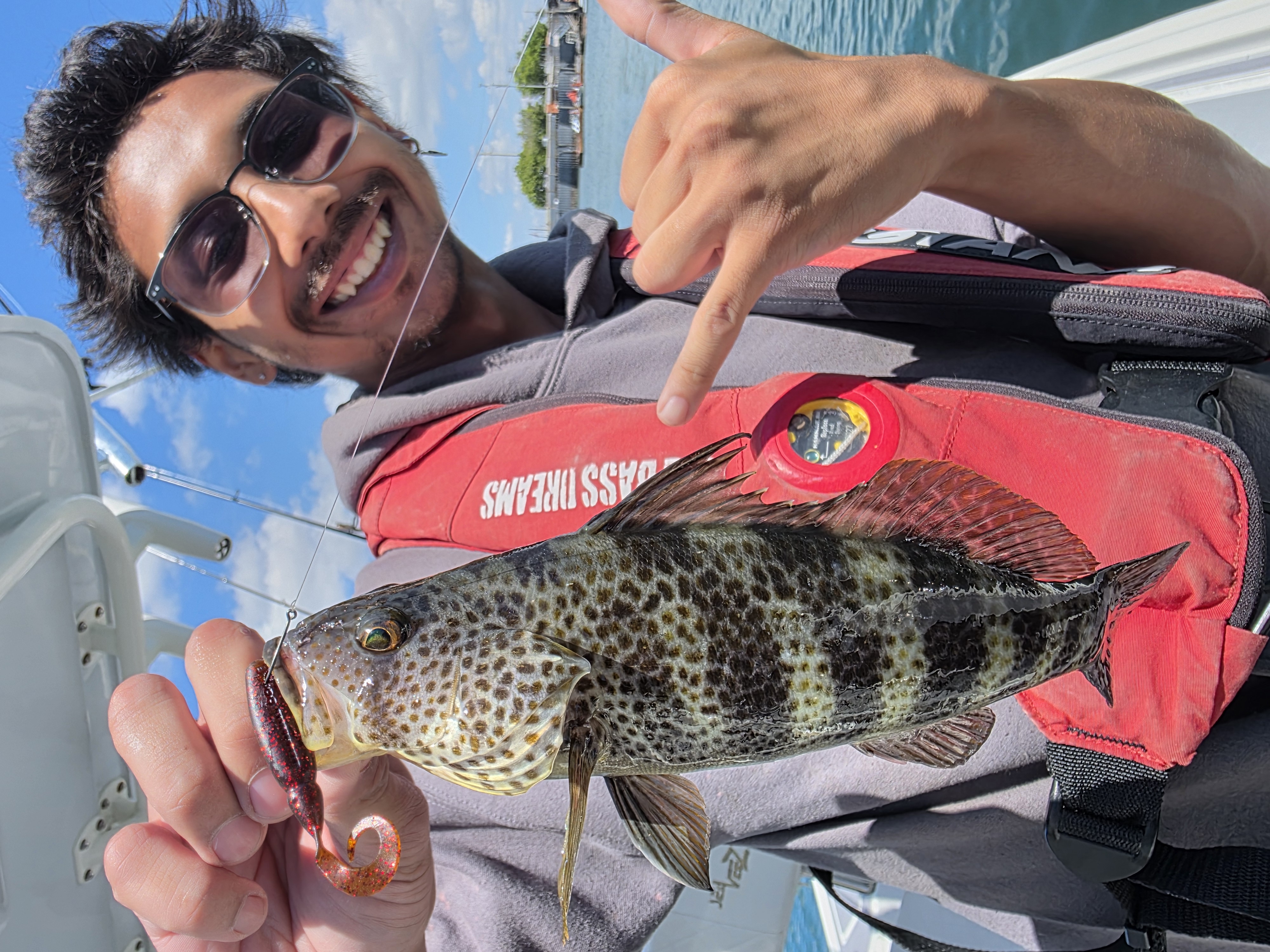 Freshly caught fish being held on fishing boat in Garden Grove CA