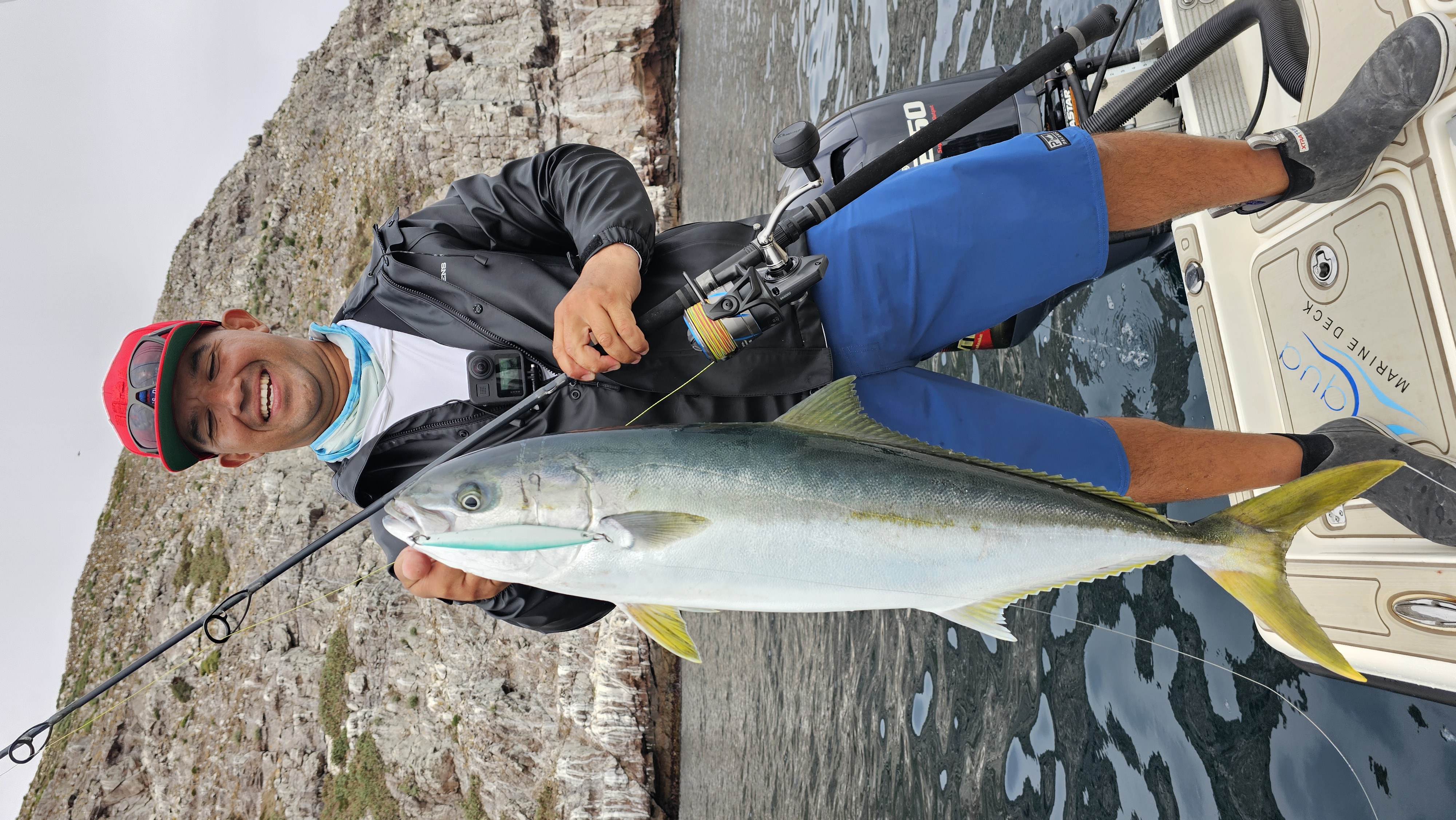 Yellowtail Amberjack caught while fishing in Garden Grove CA