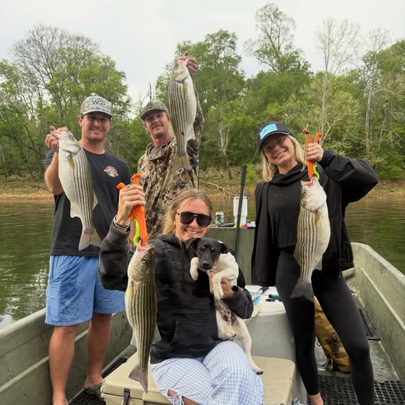 Successful striped bass fishing trip in Weldon NC with multiple caught fish displayed on boat
