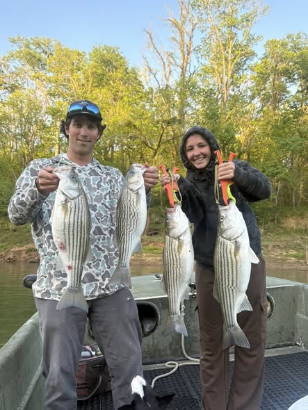 Fresh caught striped bass displayed after successful fishing trip in Weldon NC