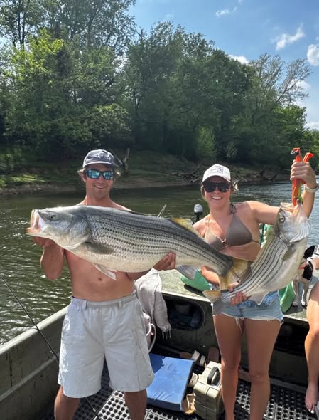 Two striped bass caught fishing in Weldon NC displayed on boat