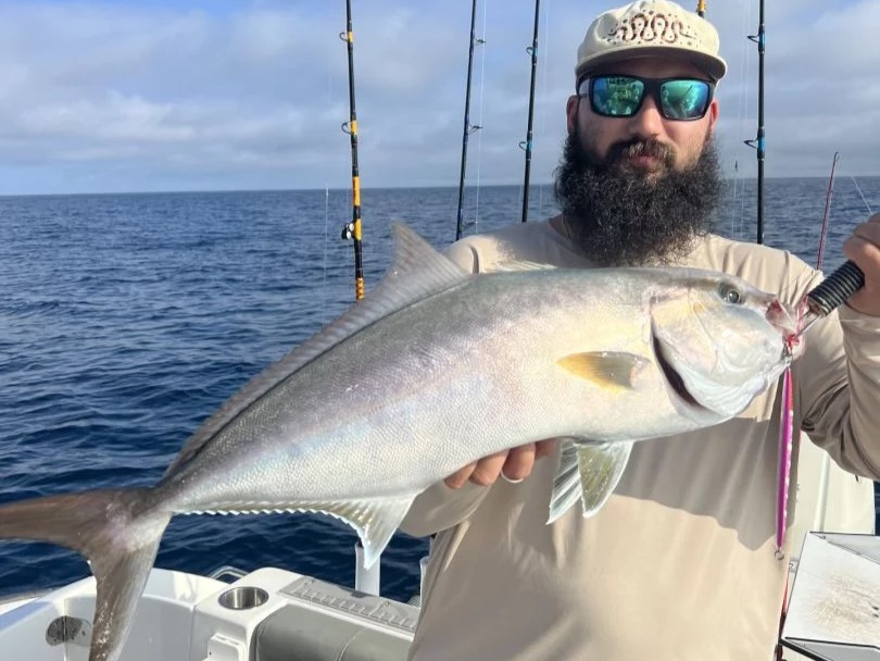Angler with a huge greater amberjack fish in FL